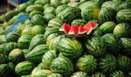 泰国西瓜最新爆料消息